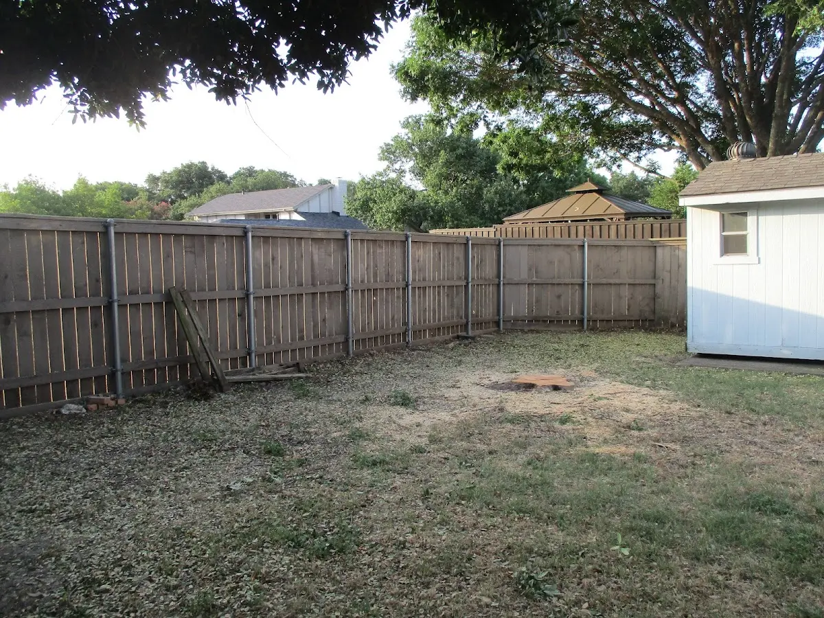 Cleared yard after professional tree removal in Canyon Lake